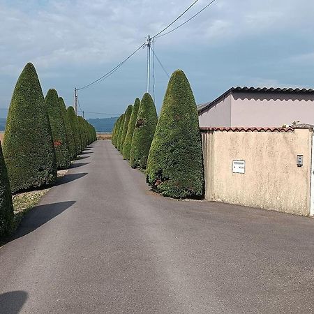 Charmante Maison Avec Piscine Anneyron 외부 사진